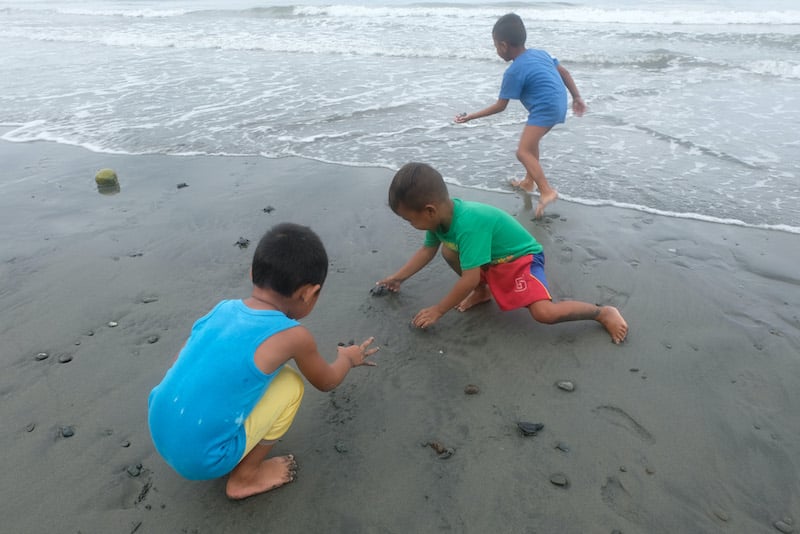 Children release sea turtle hatchlings