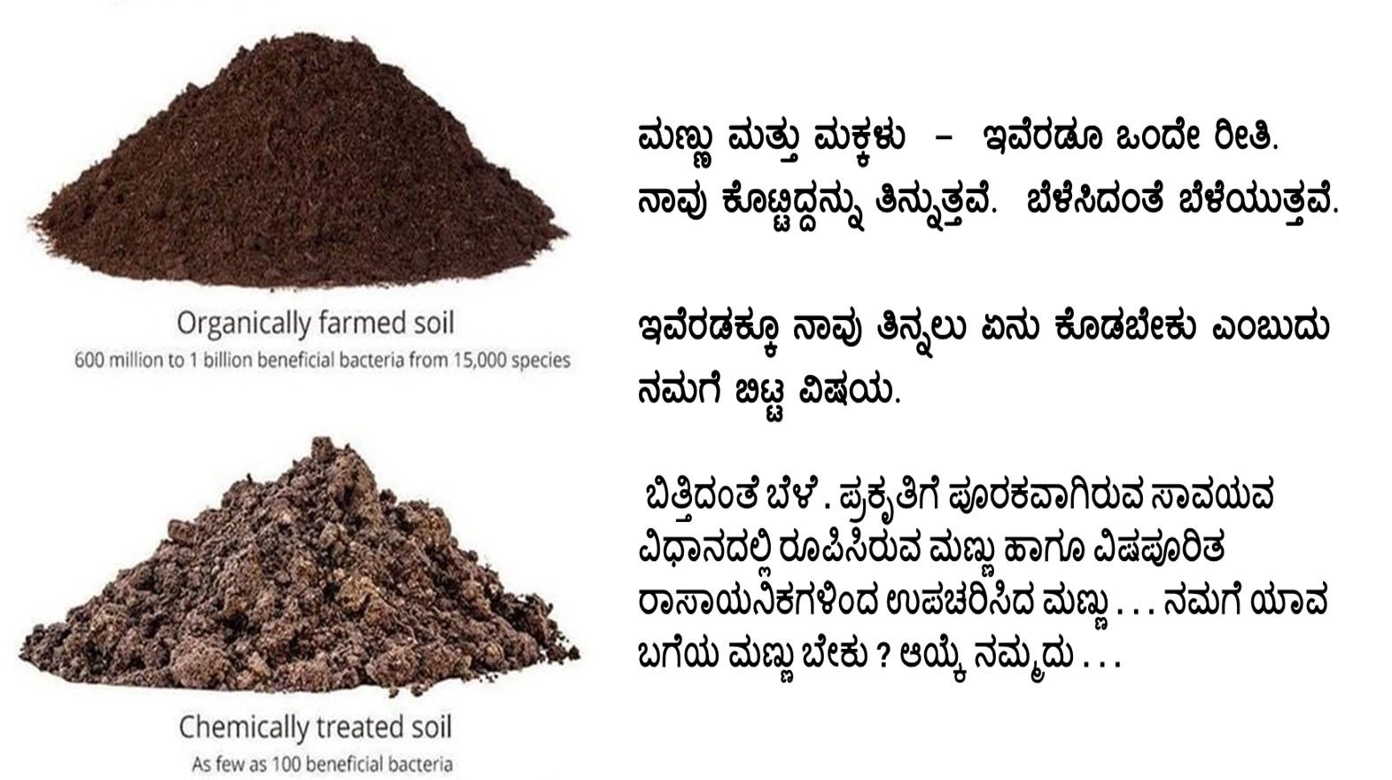 poster on soil biodiversity in Kannada