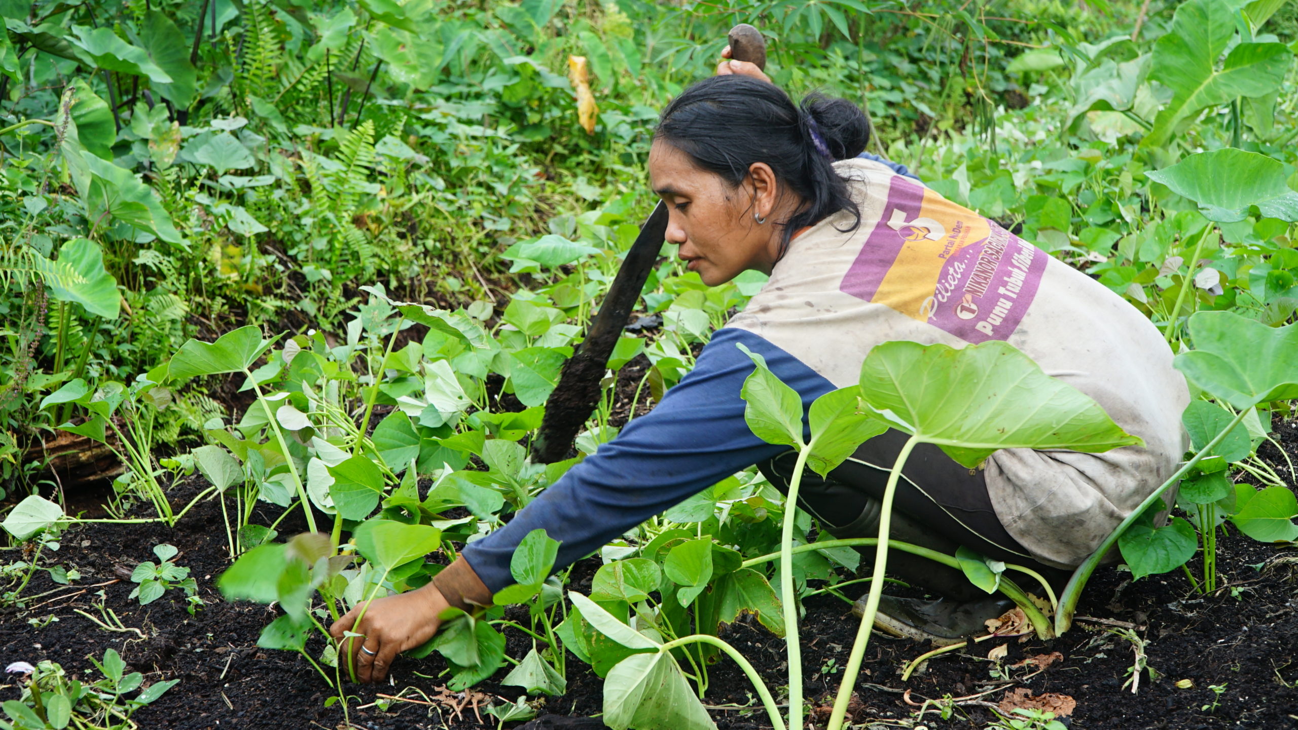 a woman working in a field