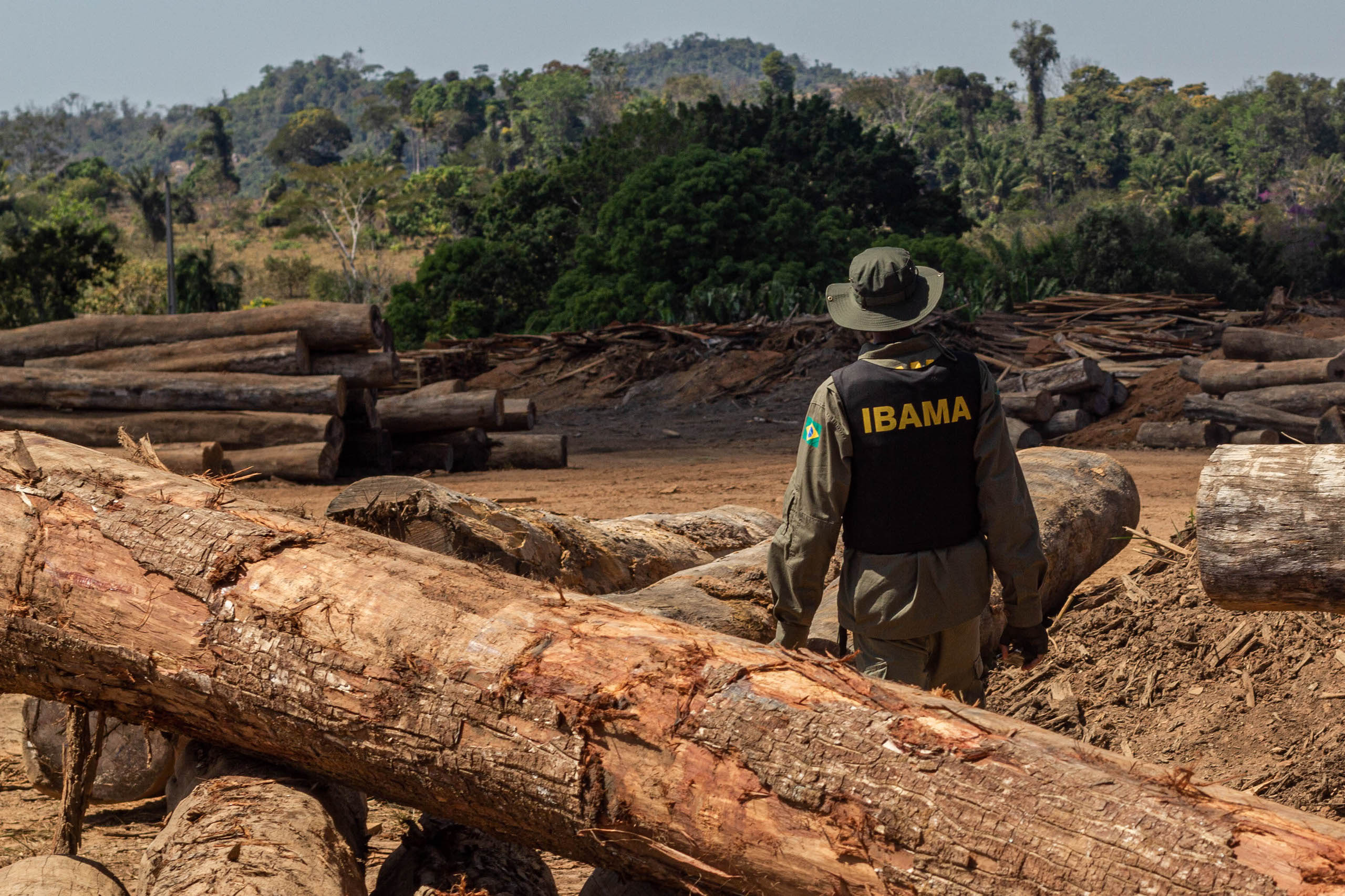 An officer from the Brazilian Institute of Environment and Renewable Natural Resources (IBAMA) inspects seized timber and illegal deforestation in the Amazon, Rondônia state, Brazil. (Image: Fernando Augusto / IBAMA,  CC BY SA)