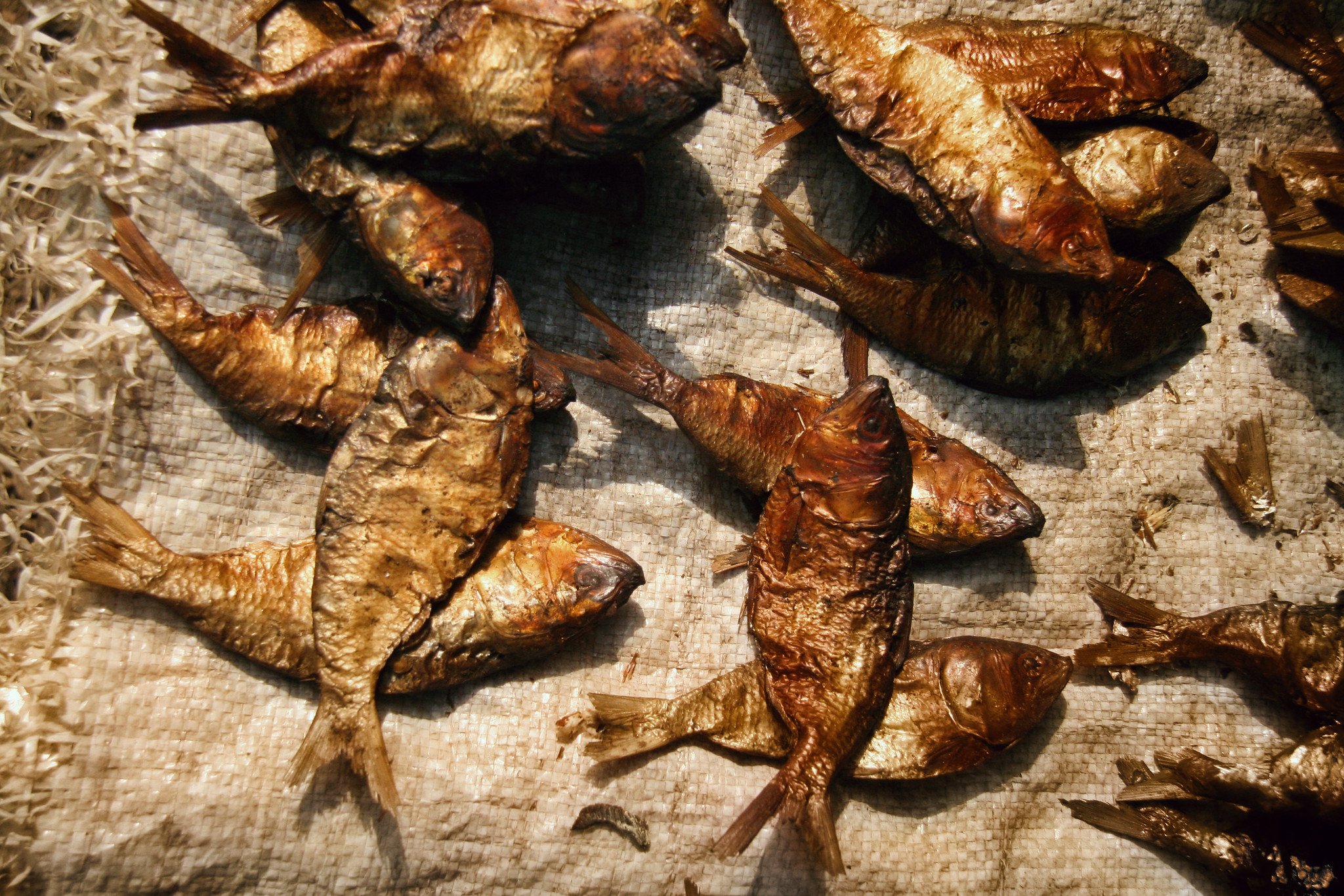 dried fish