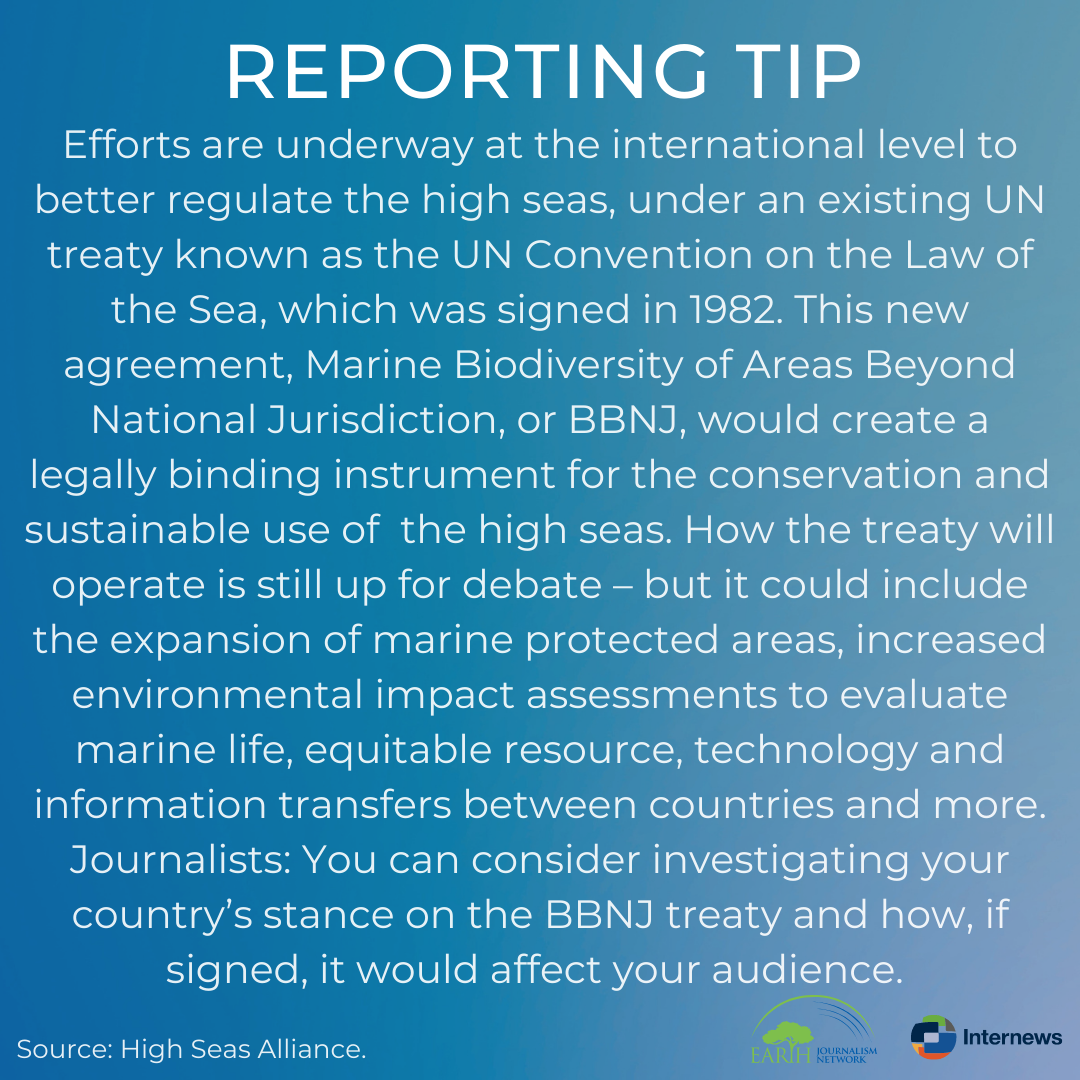 Efforts are underway at the international level to better protect and regulate the high seas, under an existing United Nations treaty known as the UN Convention on the Law of the Sea, which was signed in 1982. This new agreement, Marine Biodiversity of Areas Beyond National Jurisdiction, or BBNJ, would create a legally binding instrument for the conservation and sustainable use of marine areas beyond national jurisdiction, also known as the high seas. How the treaty will operate is still up for debate – but it could include the expansion of marine protected areas, increased environmental impact assessments to evaluate marine life, equitable resource, technology and information transfers between countries and more. Journalists: You can consider investigating your country’s stance on the BBNJ treaty and how, if signed, it would affect your audience. 