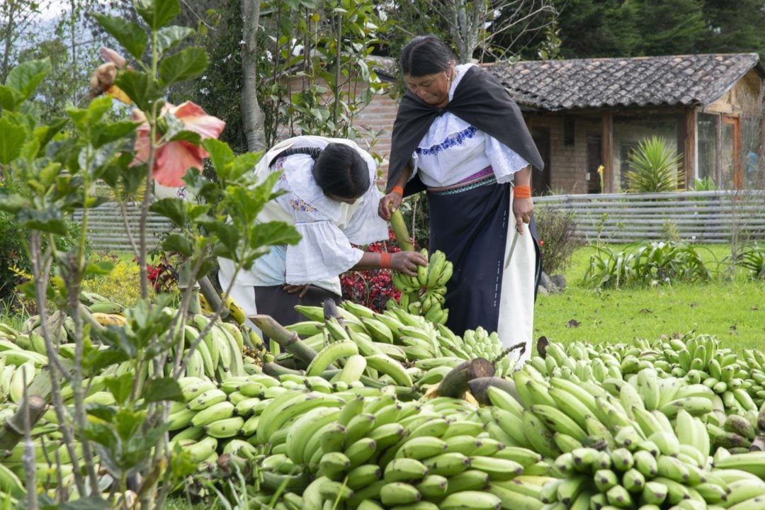 Women prepare produce to share