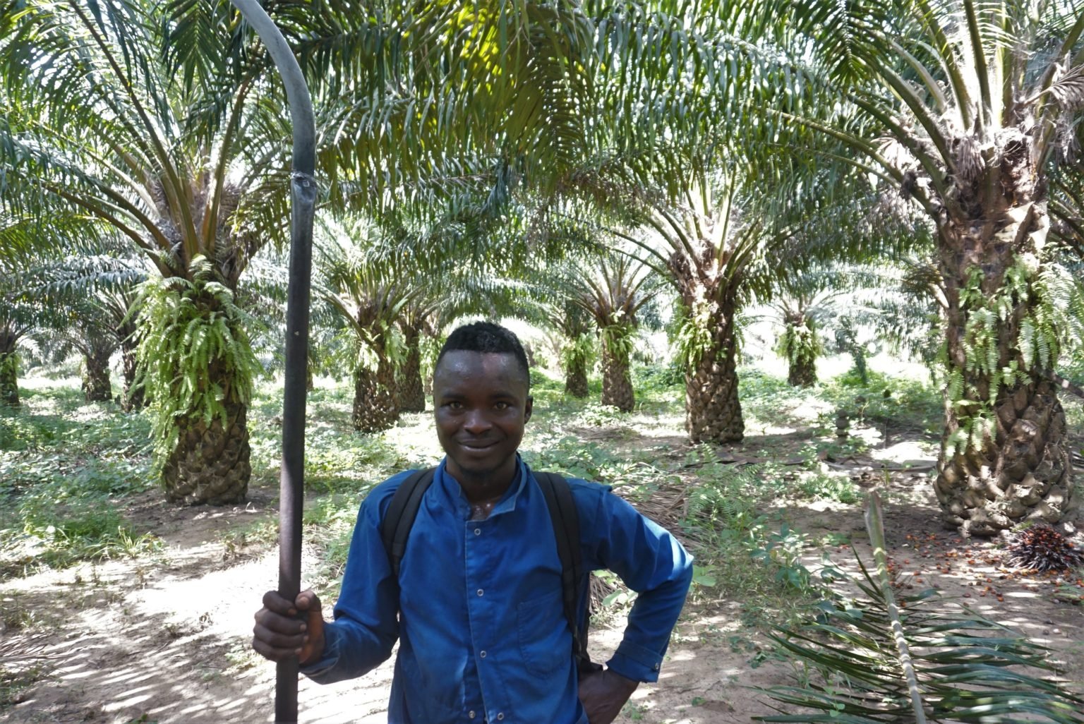 a young plantation worker faces the camera