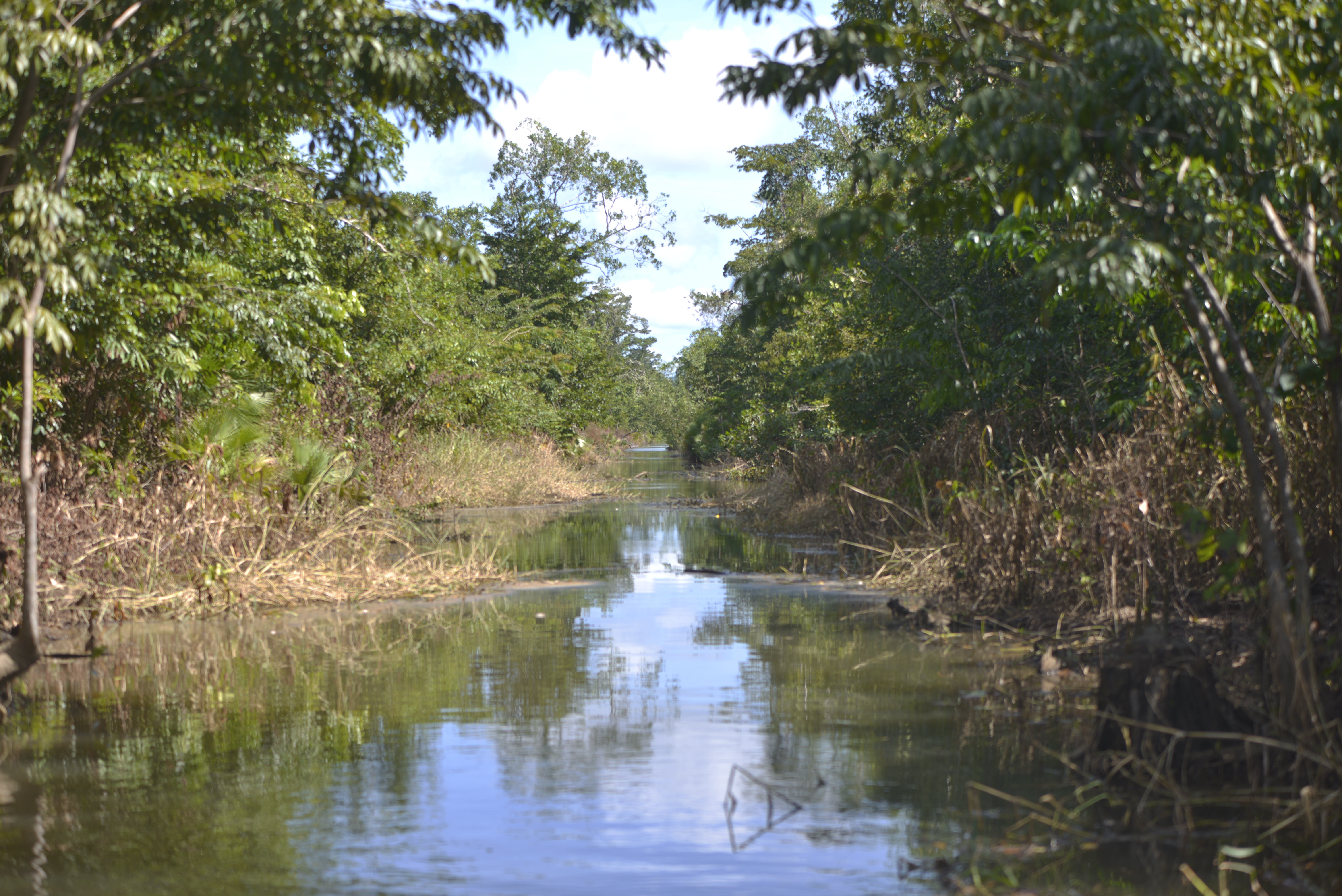 Artificial rivers open channels to narcotraffickers