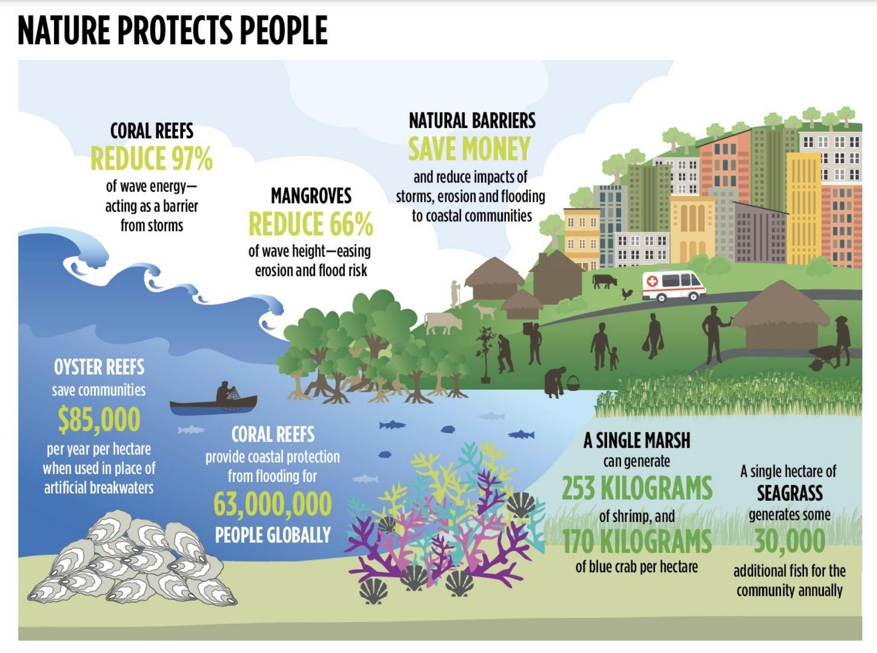 nature protects people