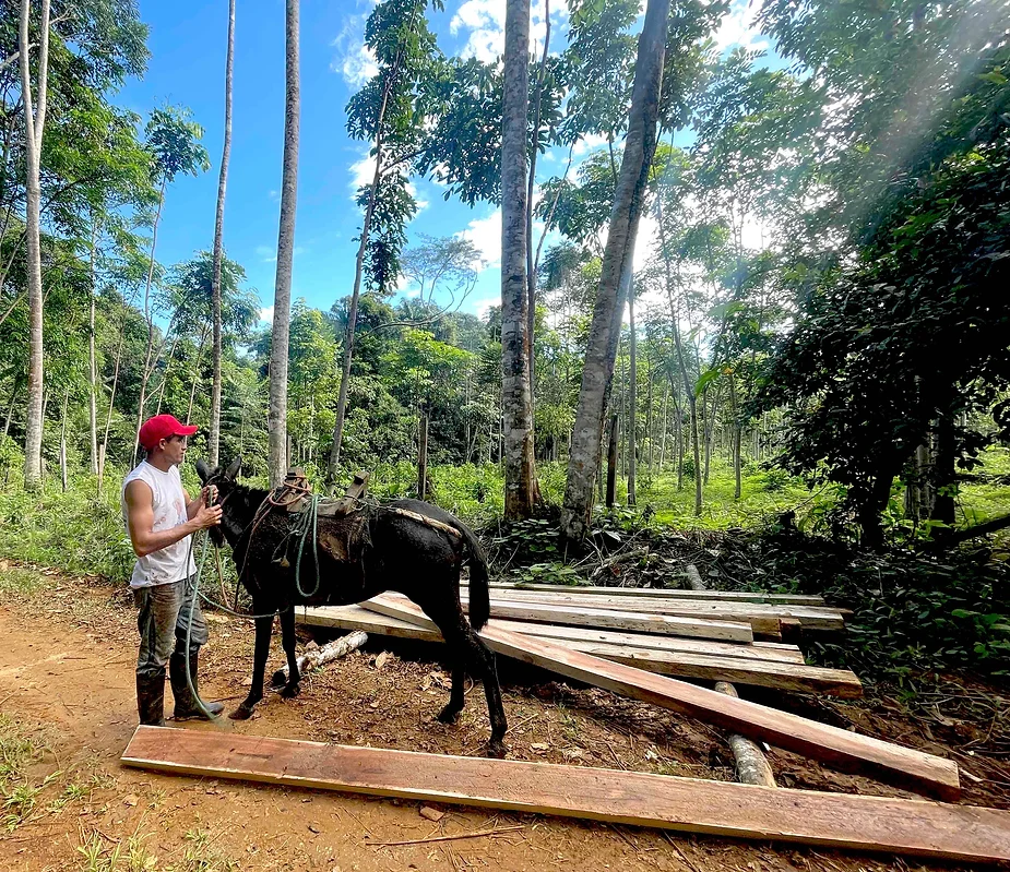 man with horse in forest