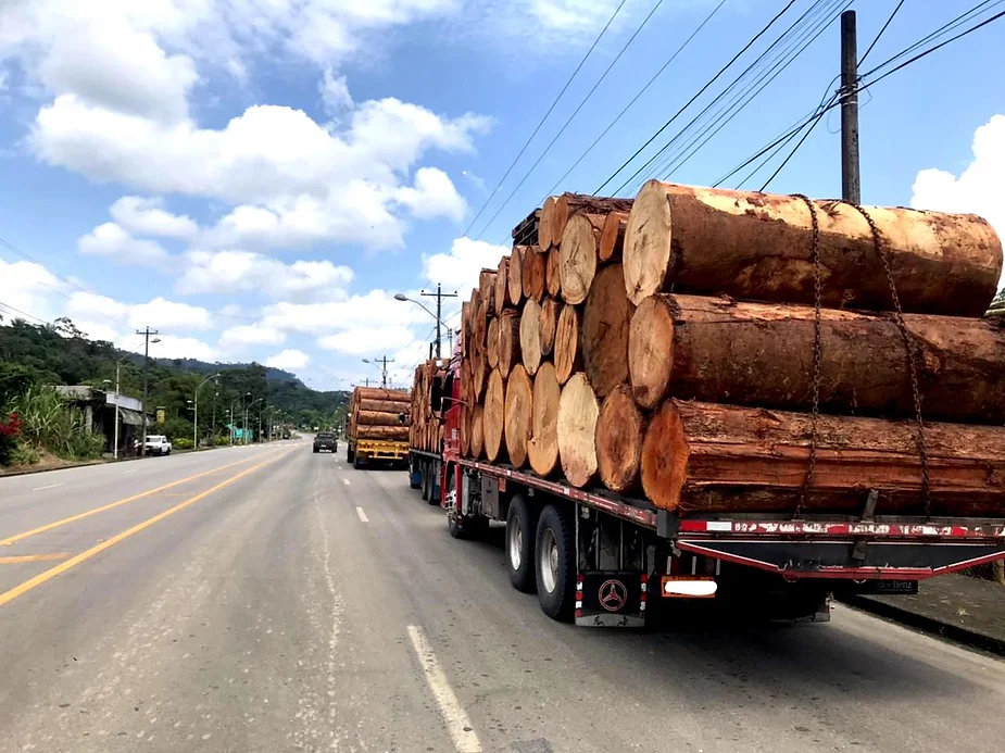 truck with timber on a road
