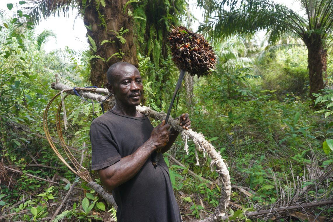 A man holds a palm plant in his arms