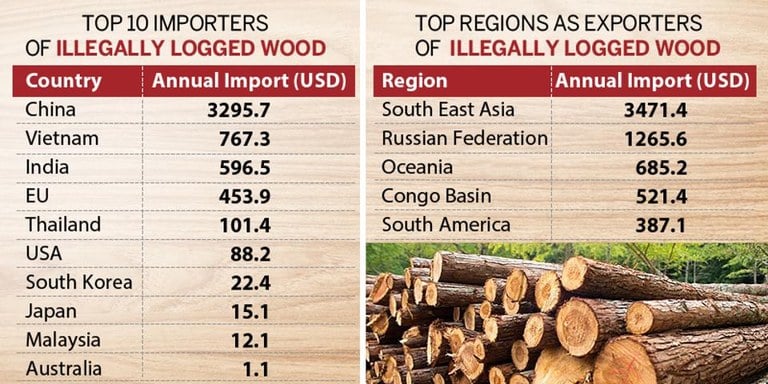 Wood Logs Export  GLOBAL WOOD TRADE