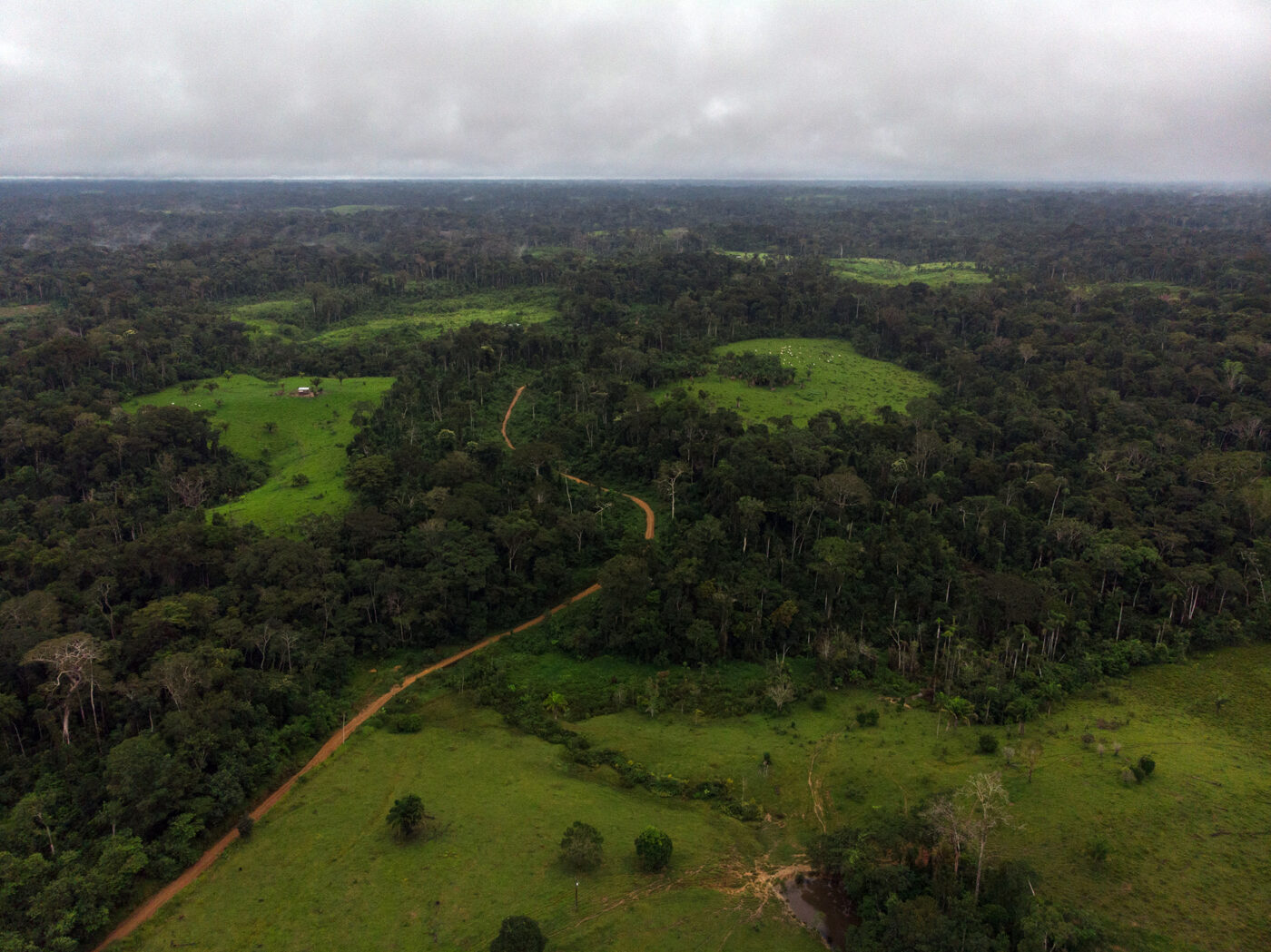 Brazil slows  deforestation, but in Chico Mendes' homeland, it risks  being too late