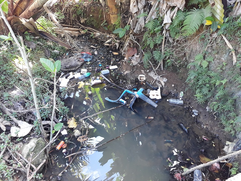 A stream littered with plastic bottles