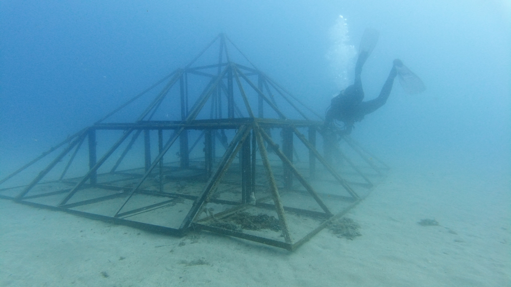 underwater photo of a pyramidal shaped artificial reef