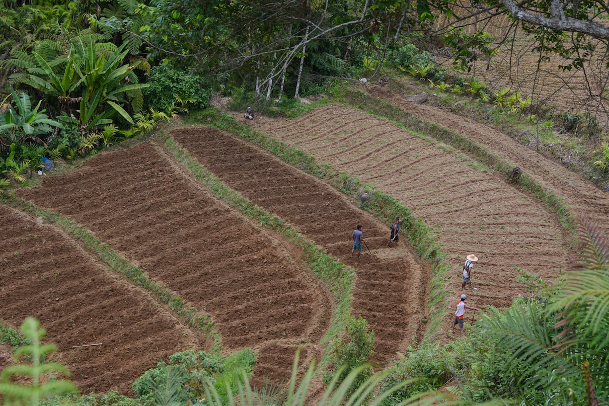 terraces being used to grow vegetables, a less sustainable form of agriculture for this region