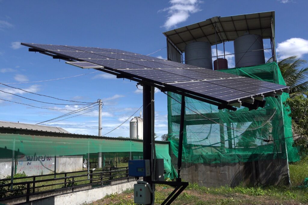 Solar panels in the compound of a pig farm