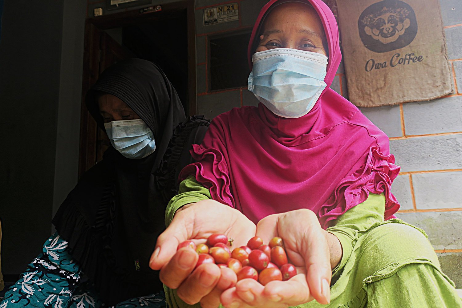 A masked woman displays freshly picked coffee cherries in her hands.