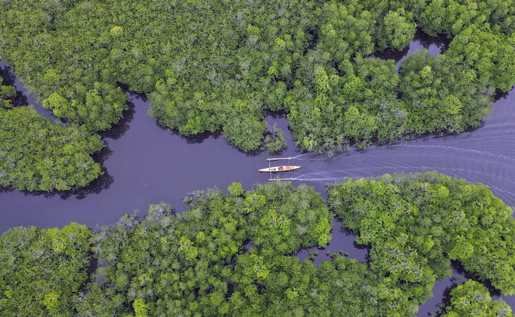 drone image of boat in mangroves