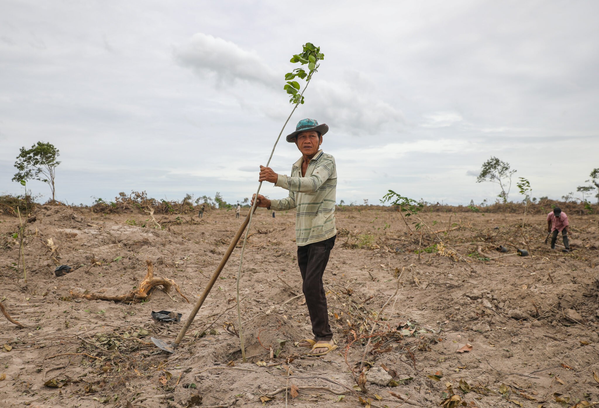 Chan Dy, with the Mong Reththy Group, plants a sapling in the bulldozed section of Phnom Tamao after nearly half of the forest was felled for a satellite city development. Photo by Anton L. Delgado for Southeast Asia Globe.