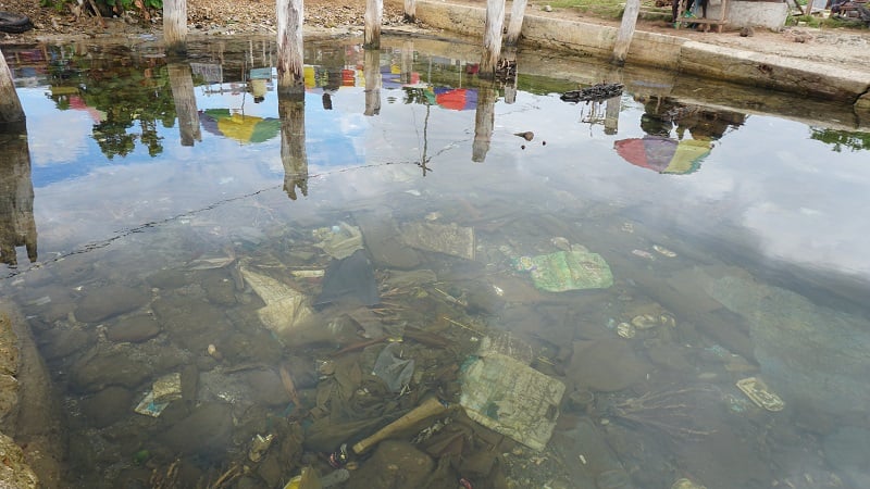 a photo of the shoreline with trash visible under the water