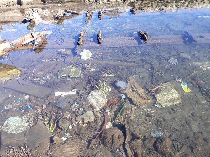 a picture of shallow water with cans, plastic, wrappers and other trash piled up in the dirt