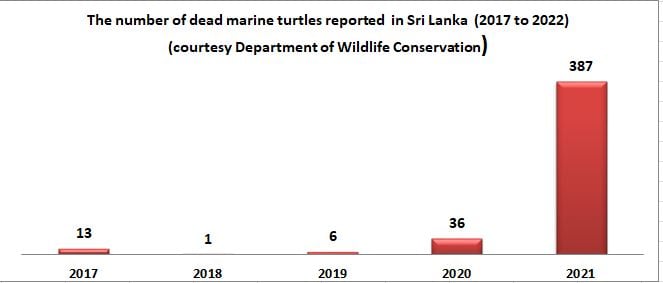 Graphical representation of number of dead marine turtles
