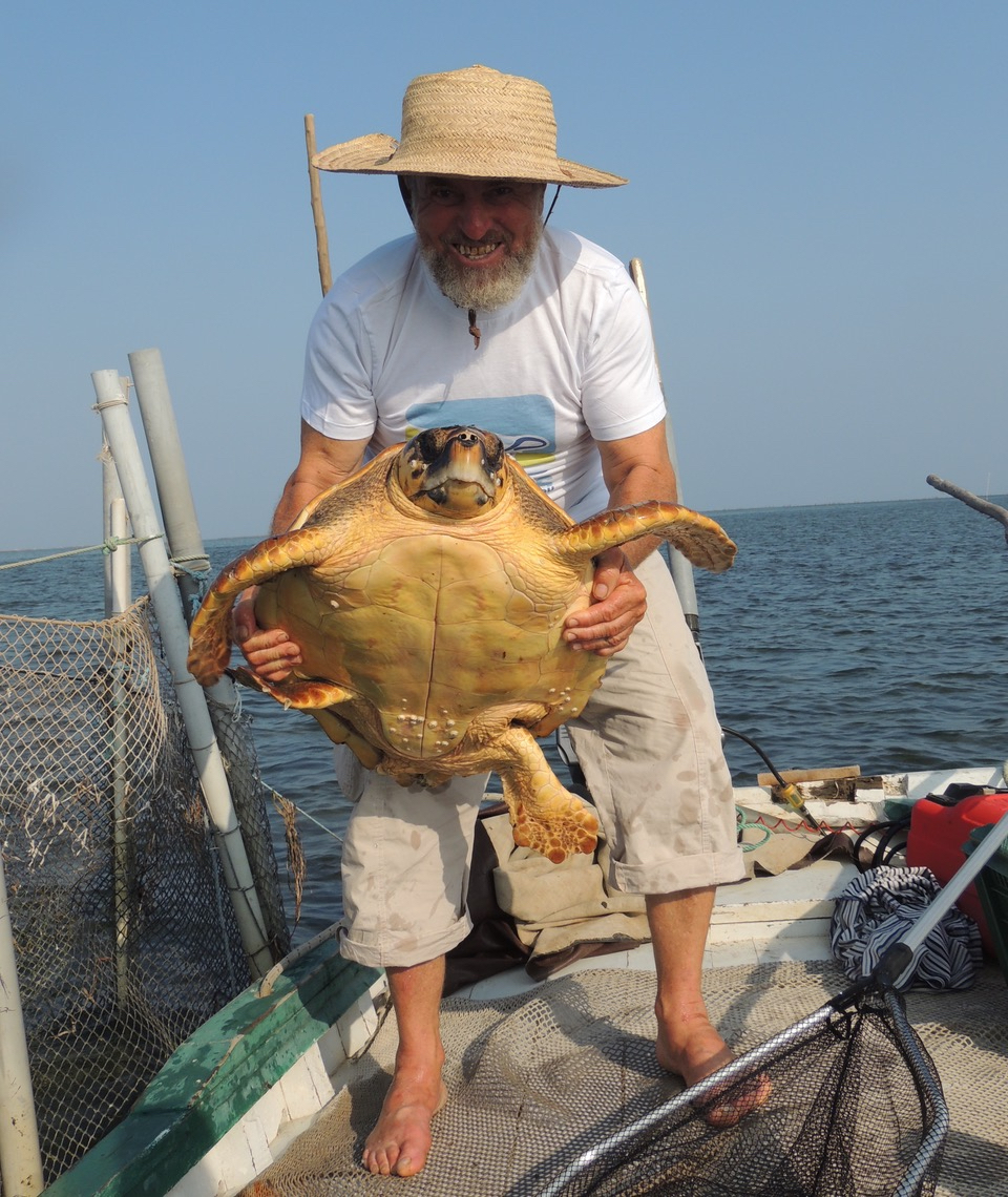 A fisherman on a boat holding a sea turtle 