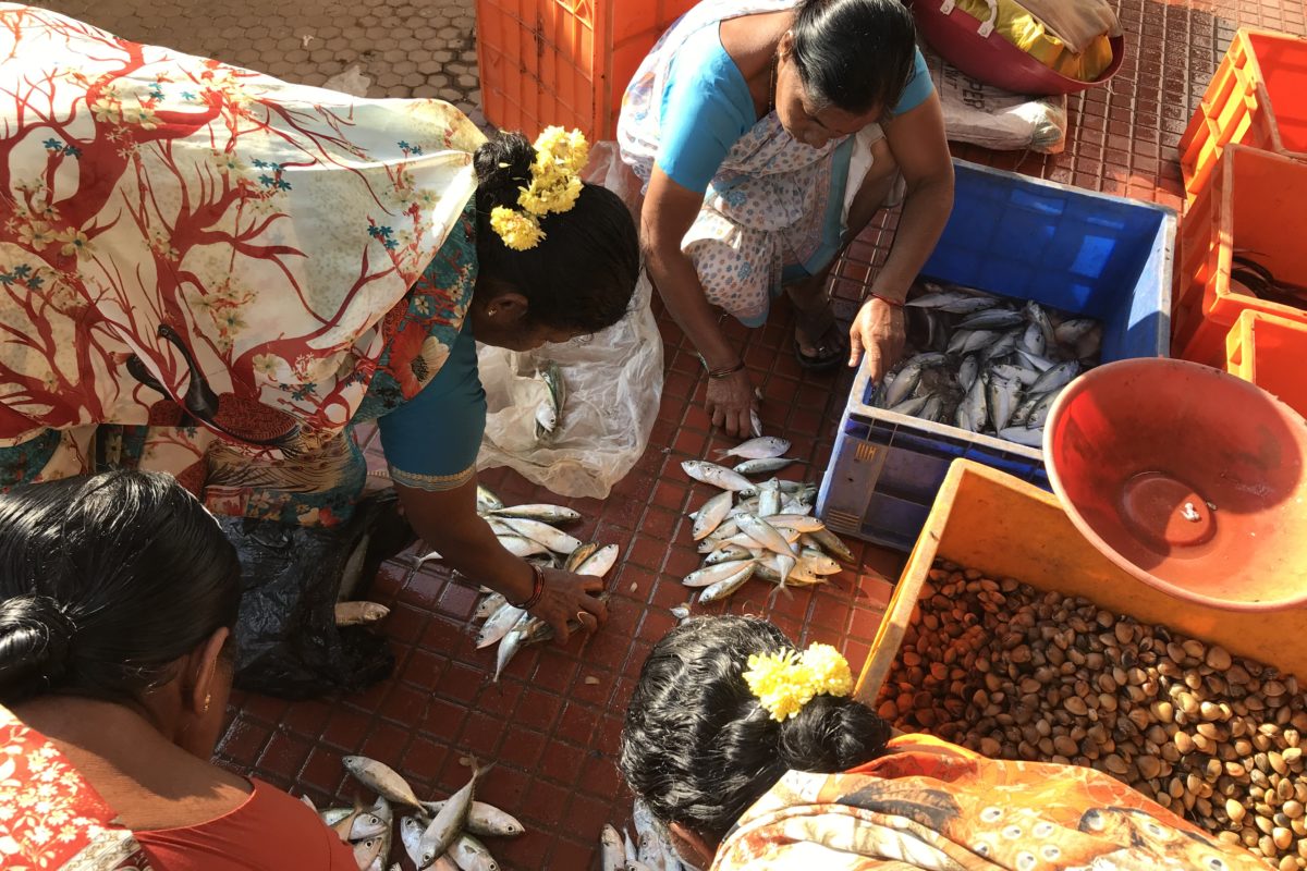 Fish sellers sorting their purchase