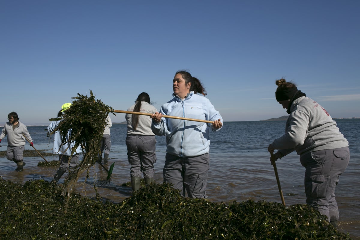 A group of women collecting piles of back seaweeds