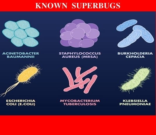 Antimicrobial Resistance: An In-depth Explainer For Journalists | Earth ...