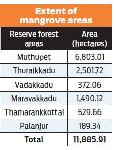 Mangrove area data
