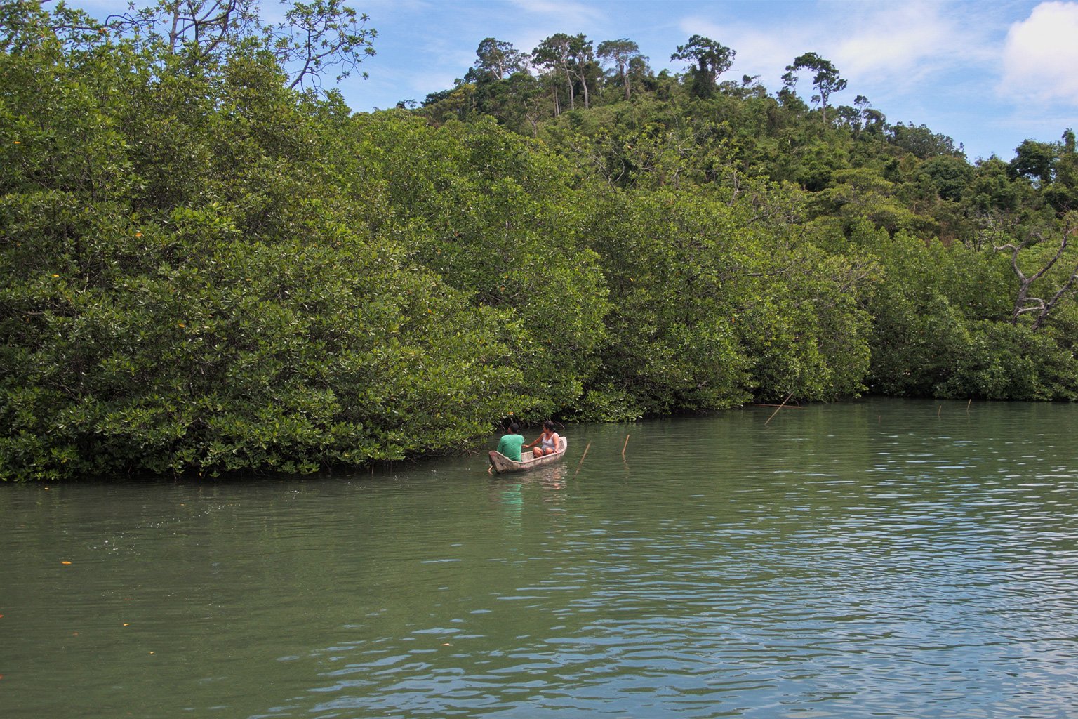 The fishing community recognizes that their bountiful catches are tied to the thick mangroves blanketing the Malampaya Sound coast. Image by Rex Remo for Mongabay.