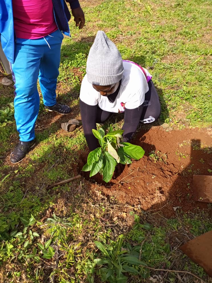 A woman planting a tree