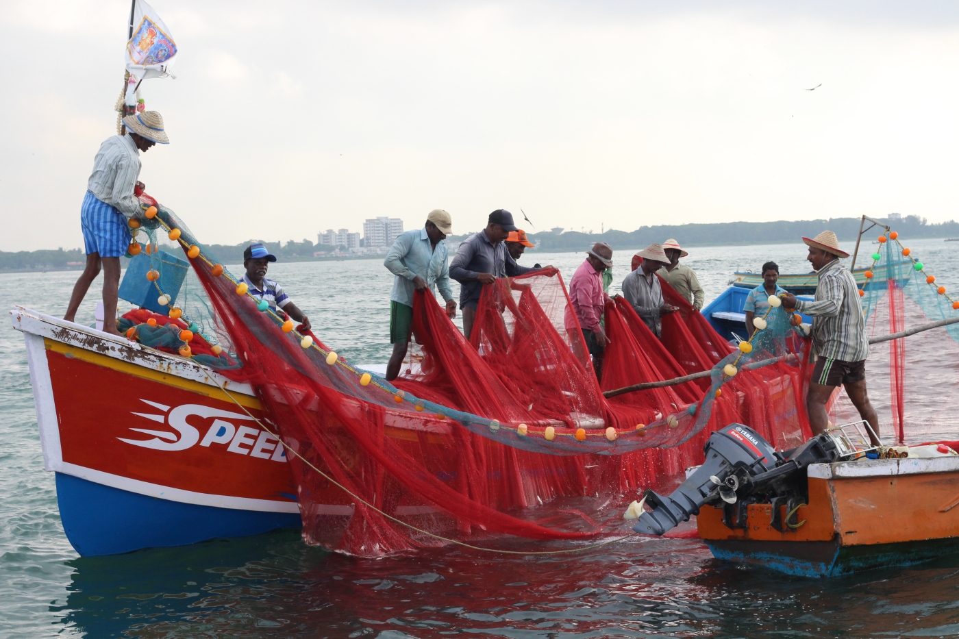 Fishermen haul their catch off Kochi port