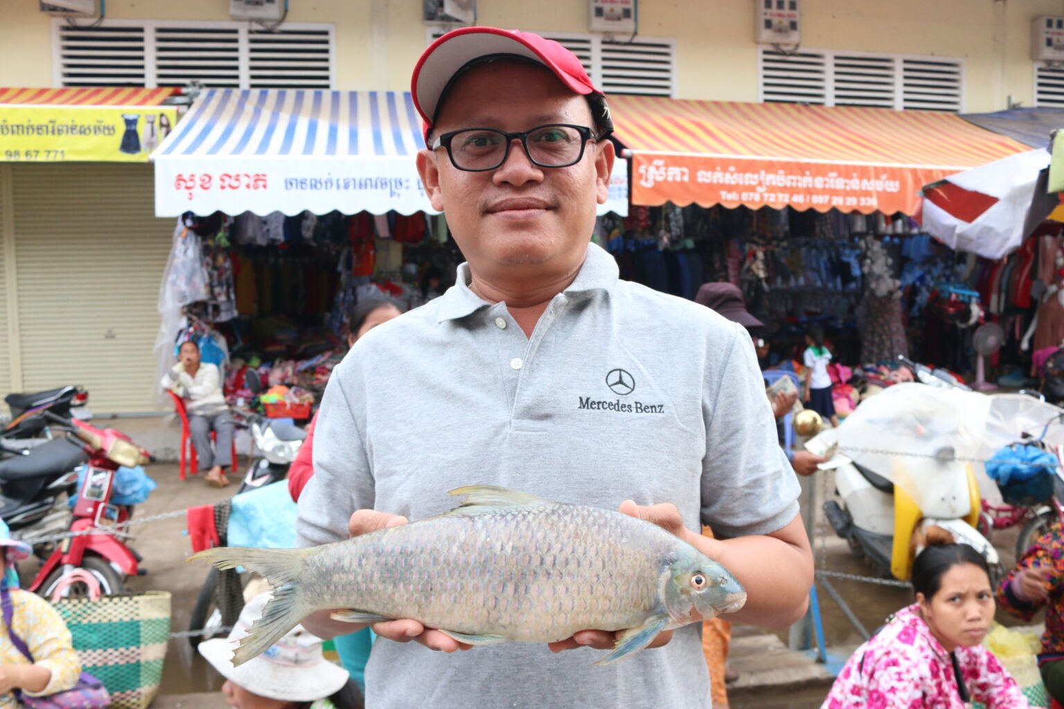 Mr.Chhut Chheana with Mekongina fish (photo supplied)