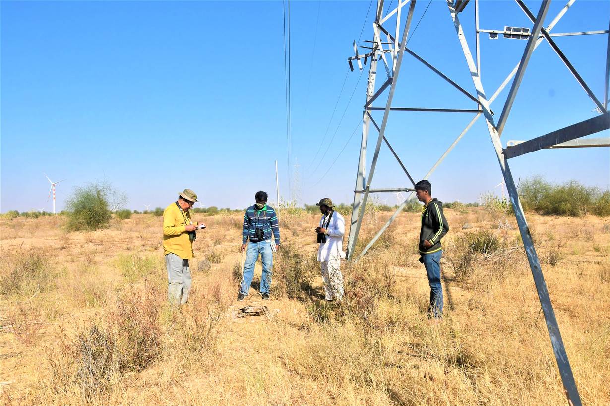men standing in a field near electricity wires