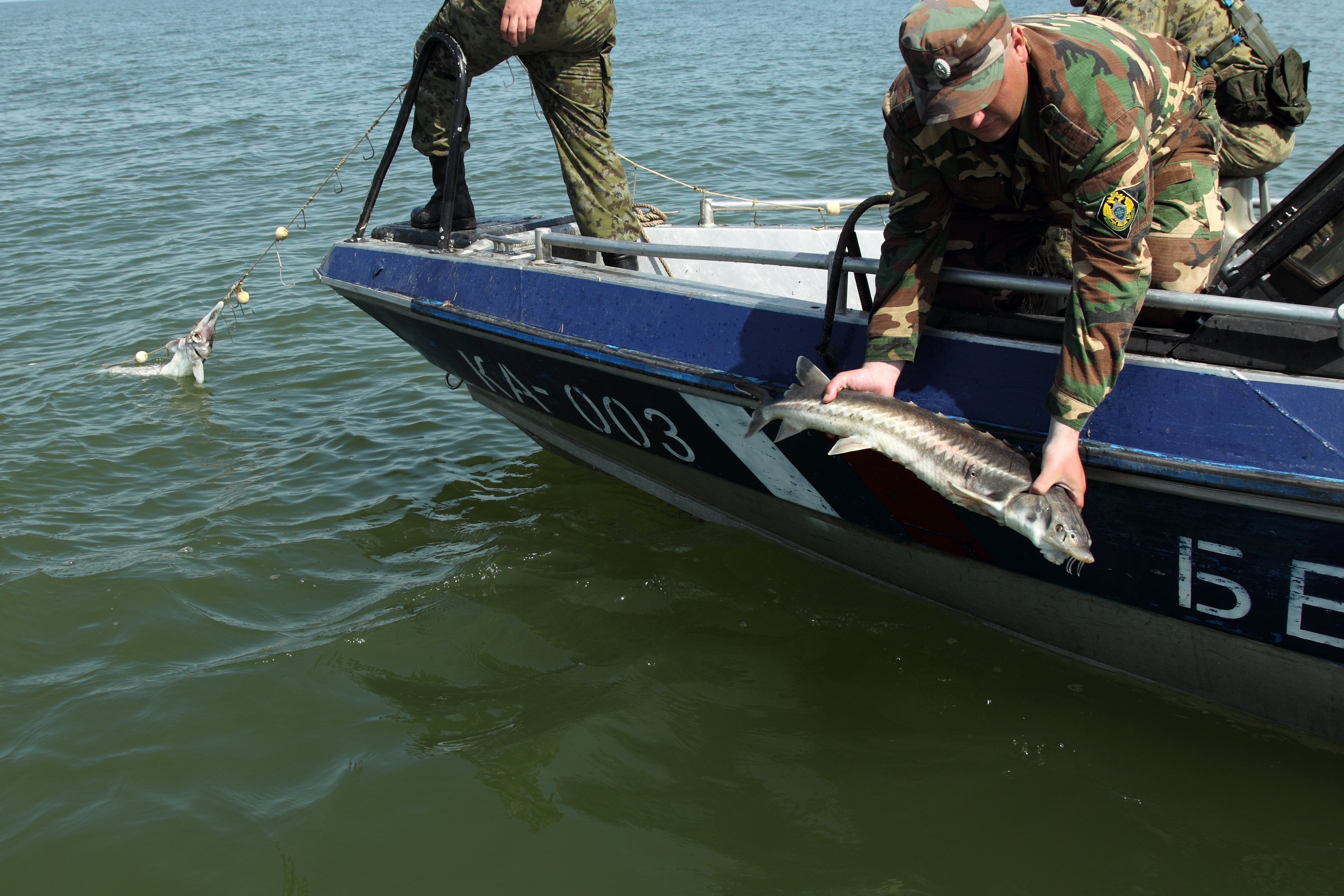 Illegal fishing on the Danube