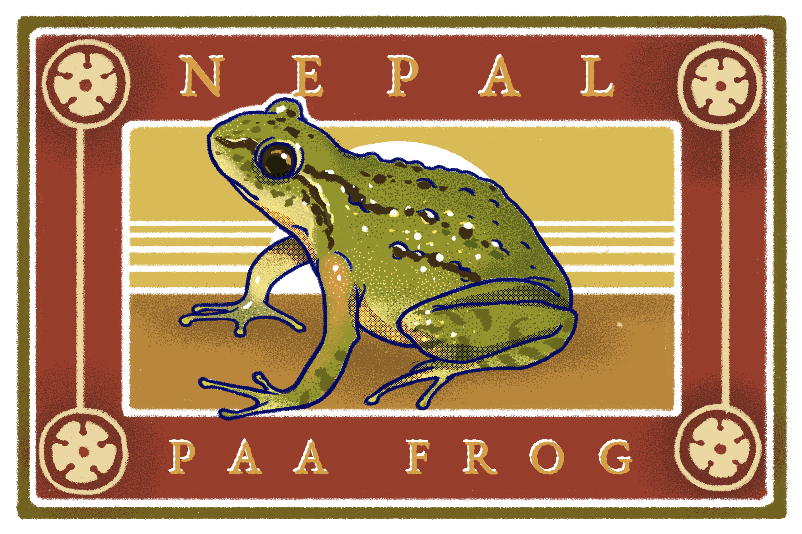The threatened Nepal paa frog lives only in western Nepal and neighbouring India. The Nepal government’s list of wild animals which can be farmed for commercial purposes includes ‘frogs’ (Illustration: Kabini Amin)
