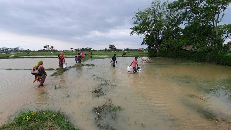 people wading through a flooded field
