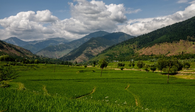 Researchers predict sweeping vegetation changes in Kashmir Himalayas due to climate change (Image by Sandeepachetan.com)