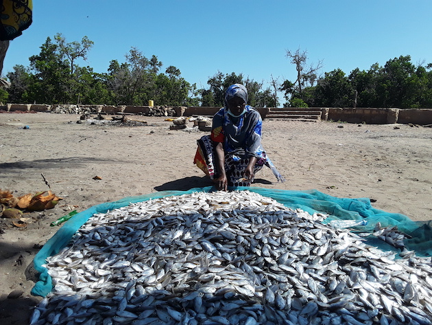 A woman perches next to a net full of fish