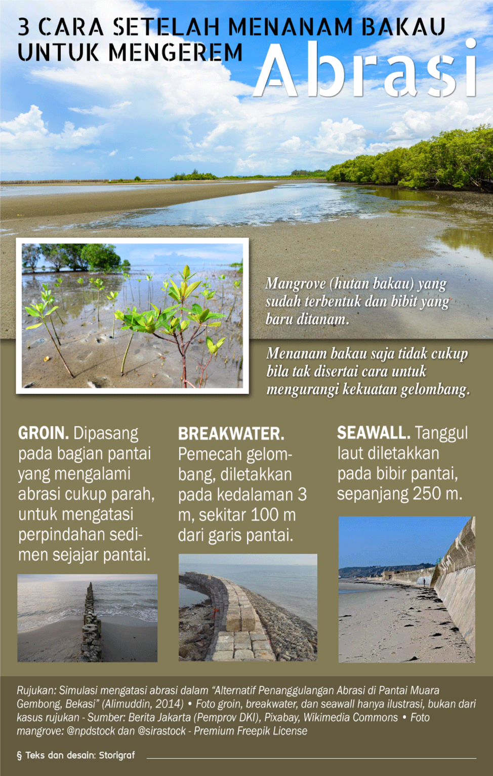 Mangrove protection graphic