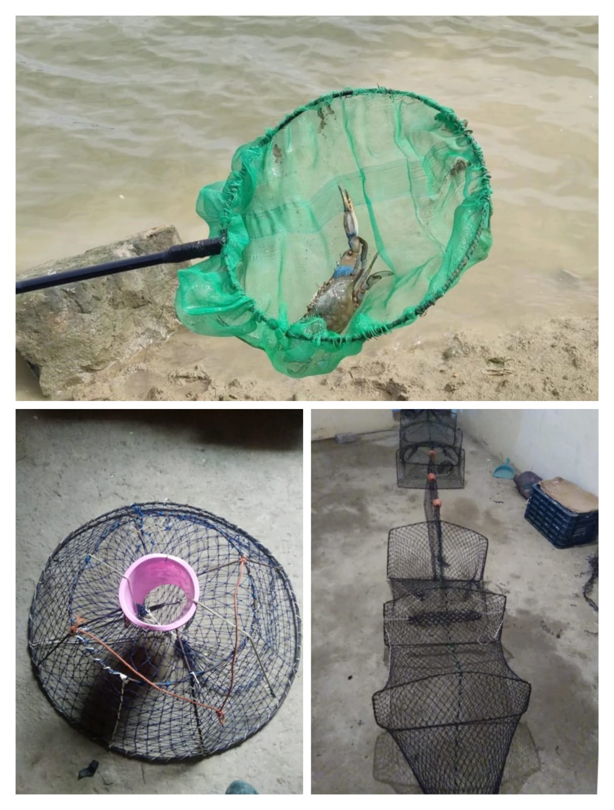 different type of tools and nets to fish blue crans 