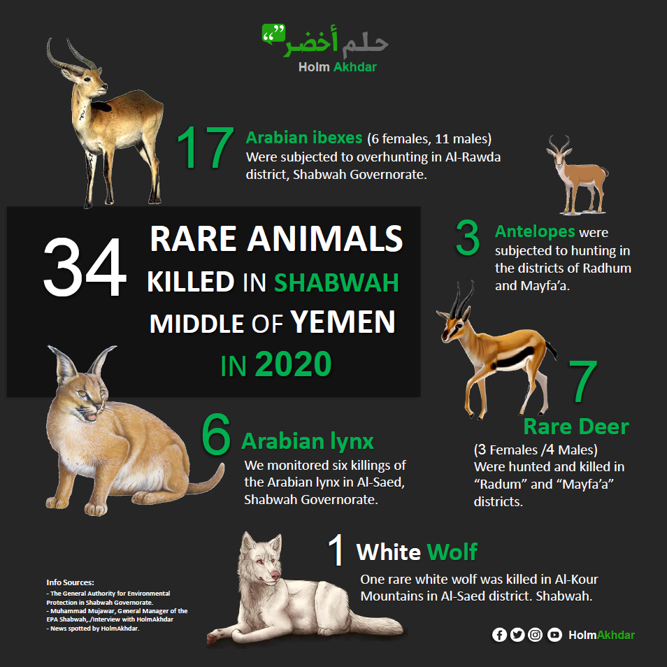 Infographic from “Yemen: War on Animals,” detailing poaching statistics in the country. Credit: Holm Akhdar
