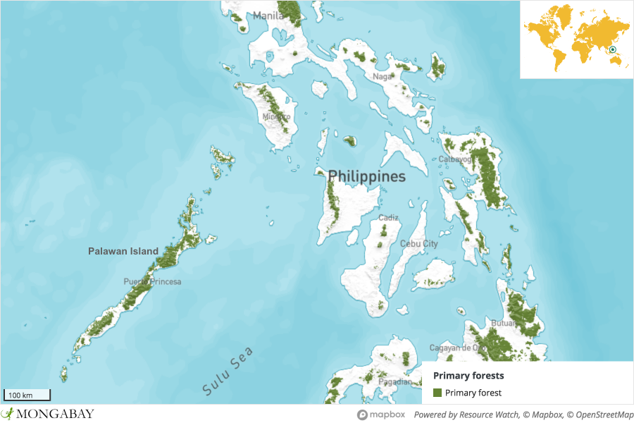 A map of the Philippines indicating the location of Palawan island.