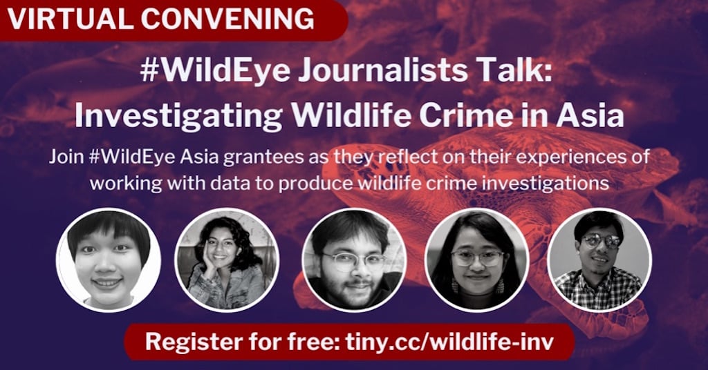 Some of the pioneering journalists who shared their experiences of using data to tell compelling wildlife crime stories, to mark World Environment Day 2021