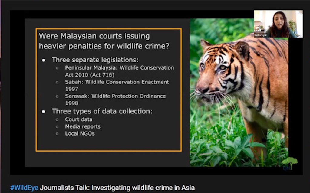 Using Data Journalism To Investigate Wildlife Crime In Asia Earth Journalism Network