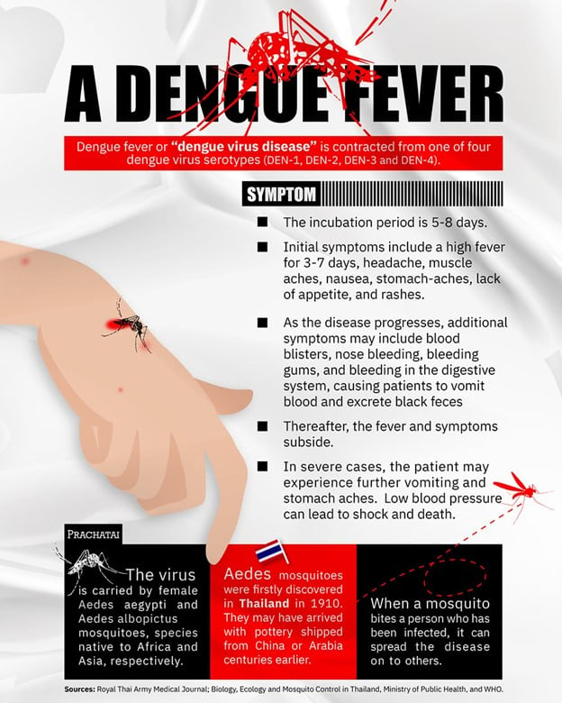infographic with dengue fever symptom description