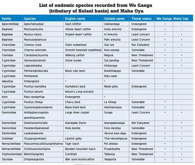 Table showing the list of endemic species in the We Ganga and Maha Oya