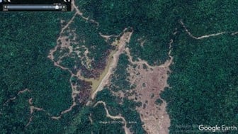 Aerial photograph of a forested area