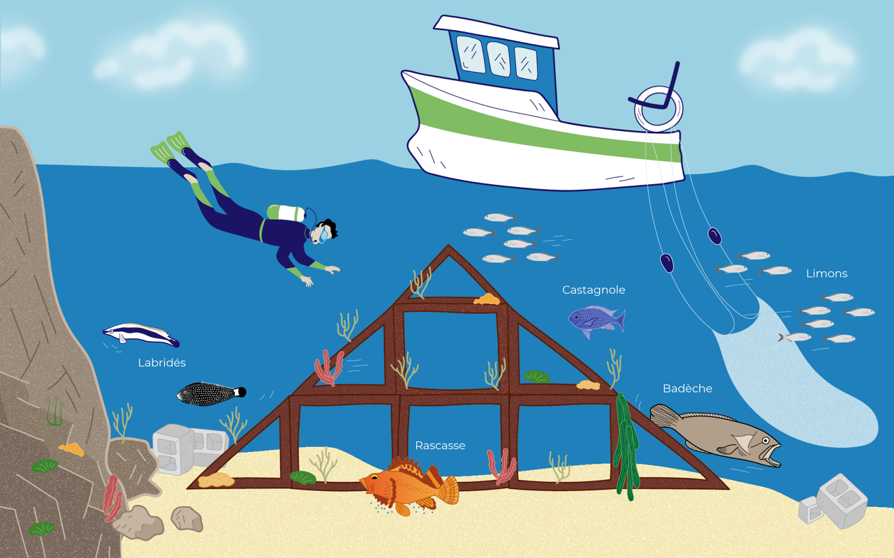 drawing and inforgraphics of a triangle shaped artificial reef in the sea